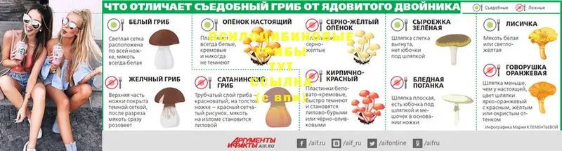 Галлюциногенные грибы мицелий  Горнозаводск 